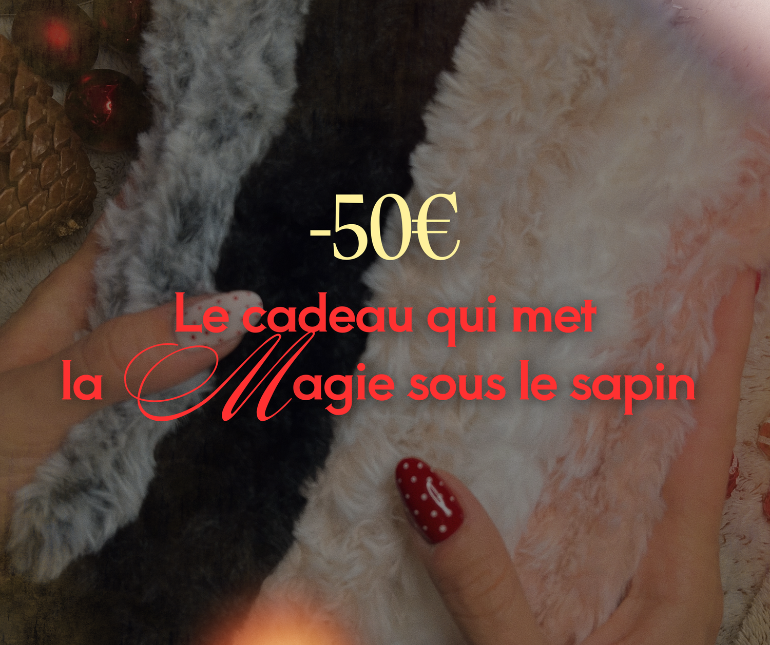 -50€ : Le cadeau qui met la magie sous le sapin